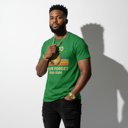 Pluto Planet Memorial Tee – Science Humor Shirt, Comfortable Fit, Gift for Space Fans